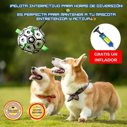 PELOTA INTERACTIVA PREMIUM