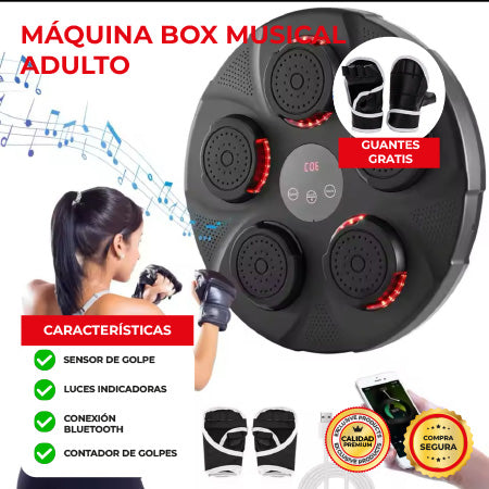 NUEVO BOX PREMIUM 2024